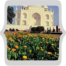 Taj Mahal gardens