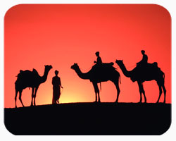 Rajasthan Heritage Tour Rajasthan Heritage Tour
