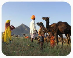 India Village Tour India Village Tour